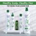 CHI Powerplus Starter Kit - Shampoo Conditioner & Scalp Treatment | International Shipping Available - Buy Online on SooperMarket.com