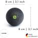 BLACKROLL BALL/MINI Set - Fascia Relief for Muscle Tension | Made in Germany - Ball 08 & Ball 12 & Mini - Buy Online on SooperMarket.com