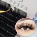 Dassen Easy Fan Volume Lashes 0.07 DD Curl - Mix8-15 | Long Lasting 2D to 10D Blooming Lashes - Buy Online on SooperMarket.com
