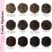 REECHO 2 PCS Mini Claw Clip in Messy & Cat Ears Hair Bun Extensions Wig Accessory Updo Hairpieces for Women Girls (Pack of 2-3.5" Wavy Medium Brown with Highlights) Pack of 2 - 3.5" Wavy Medium Brown with Highlights - Buy Online on SooperMarket.com