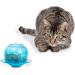 PetSafe Fishbowl Cat Toy - Interactive Food Dispensing Toy for Cats - Buy Online on SooperMarket.com
