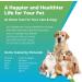 5Strands Pet Food Intolerance Test: At-Home Sensitivity Test for Dogs & Cats | 270 Items | Results in 7 Days - Protein, Grain, Fruit, Preservatives | Hair Analysis | Accurate for All Ages and Breeds - Buy Online on SooperMarket.com
