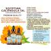 Buy Pure Egyptian Calendula Oil | Natural Moisturizer for Face Skin Hair & Nails | Botanical Beauty 1 Fl Oz (30 ml - Buy Online on SooperMarket.com