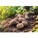 Mynatura Potato Fibers 1kg | Ideal for Soup & Potato Bread | High-Fiber Health Supplement - Buy Online on SooperMarket.com