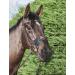 LeMieux Horse Comfort Shield Nose Filter in Black - Fine Mesh - Easily Adjusted - Pack of 2 L Black - Buy Online on SooperMarket.com