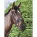 LeMieux Comfort Shield Nose Filter Medium Black - Buy Internationally for Optimal Protection - Buy Online on SooperMarket.com