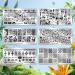 JSRQT Nail Art Stamping Plates Set - 6 Mixed Pattern Stencils for DIY Manicure | Sweet Panda Floral & Leaf Designs - Buy Online on SooperMarket.com