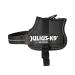 K9 Powerharness Size: 2XS/Baby 2 Black 2XS/Baby 2 Black