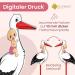 Gl cksgut Rattierorch Baby Pink 100 cm | 5-Part Birth Stork Set with Name Tag Greeting Card & Pen | Perfect Birth Gift for Baby Girls | Indoor & Outdoor Decoration - Buy Online on SooperMarket.com