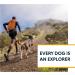 Ruffwear Hi & Light Dog Harness - No Pull Fully Adjustable Lightweight for Small Medium Large & XL Dogs | Blue Dusk (L/XL 81-107cm) - Buy Online on SooperMarket.com