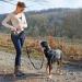HUNTER Jasper Anti-Jerk Dog Leash & Jogging Belt - Shock Absorber Reflective One-Size Black/Grey - Perfect for International Shipping - Buy Online on SooperMarket.com