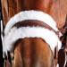 Buy Collegiate ComFiTec Sheepskin Bridle Brown Cob - Premium Comfort & Quality for Equestrian Excellence | International Shipping Available - Buy Online on SooperMarket.com