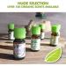 Organic Ginger Essential Oil - Healing Solutions 10ml - 0.33 fl oz - Buy Online on SooperMarket.com