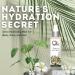 Ola Plumeria Scented Deep Sea Mist - 2 Fl Oz Plumeria 2 Fl Oz (Pack of 1) - Buy Online on SooperMarket.com