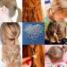 500 Pieces Elastic Hair Ties - Durable Mini Rubber Bands for Kids' Braids & Hairstyles | Soft Transparent Hair Bands for Weddings & Dreadlocks - Buy Online on SooperMarket.com