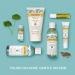 Burt's Bees Herbal Complexion Stick (Pack of 2) - Natural Acne Treatment - Buy Online on SooperMarket.com