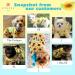KYEESE Sunflower Dog Dress for Medium Dogs | Ruffle Sleeves Dog Apparel - Buy Online on SooperMarket.com