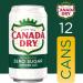 Canada Dry Zero Sugar Ginger Ale Soda 12 fl oz Cans 12 Pack - Refreshing Zero Sugar Drink Option - Buy Online on SooperMarket.com