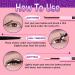 Focipeysa Fluffy Lash Clusters 100D | 10-18mm Individual D Curl Eyelash Extensions | DIY Lash Kit for Beginners | International Shipping Available - Buy Online on SooperMarket.com