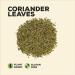 Nature Kitchen Coriander Leaf 150g | Gluten-Free & Vegan Spice Blend for Everyday Cooking | Marinades, Sauces, Frying, Baking, Grilling - Buy Online on SooperMarket.com