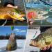 Goture Fishing Spoons Hard Lures Casting Spoon/Ice Fishing Jigs - Trout Bass Pike Walleye Crappie Bluegill - 12pcs in Tackle Box - Buy Online on SooperMarket.com