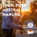 Capilano Active Manuka Honey 100% Pure Australian Premium Manuka Honey MGO550+ 250g - Buy Online on SooperMarket.com