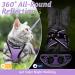 Rabbitgoo Cat Dishes Set - Stylish Cat Linen with Leash | Perfect for Cats | International Shipping - Buy Online on SooperMarket.com