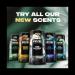 AXE Fine Fragrance Collection Deodorant Stick Pure Coconut 4 count with 48H Freshness and Odor Protection Deo Stick Infused with Coconut Eucalyptus and Oak Essential Oils 2.6 oz - Buy Online on SooperMarket.com