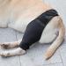 Hip Brace for Dogs - Flexible Hip Brace for Dogs Dog Hip Joint Brace for Torn ACL Patella Luxation Osteoarthritis Limping from Joint Hip Dysplasia Kot-au Black Medium - Buy Online on SooperMarket.com