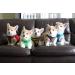Buy Puppia Dog Harness for Small & Medium Dogs - Soft Vest Available in Colors | Atani Train Crockery for Dogs - Brown XS - Buy Online on SooperMarket.com