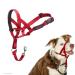 Halti head harness-prevents your dog from pulling on the leash simple adjustment light with padded nose strap anti-pull neck band for medium-sized dogs (size 2 red) 2 red