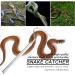 VBESTLIFE Portable Extensible Snake Hook Snake Handling Tool Snake Catcher for pet snake Ergonomic Handle - Buy Online on SooperMarket.com