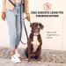 Buy Vitazoo 3m Dog Leash - Adjustable Nylon Graphite Leash with Carabiners for All Dog Sizes - Reflective Black Guide Leash - Buy Online on SooperMarket.com