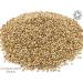 Organic Coriander Seed Pure Herbal Infusion (25 Unbleached Tea Bags - 50g) - Buy Online on SooperMarket.com