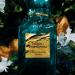 Tom Ford Neroli Portofino Eau De Parfum Spray 8.5 Ounce (Unisex) NEROLI PORTOFINO 1 Fl Oz (Pack of 1) - Buy Online on SooperMarket.com