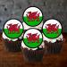 48 Welsh Dragon Cupcake Toppers Edible Welsh Flag Cupcake Decorations St Davids Day Decorations Rugby Cake Decorations Dragon Cake Topper Rugby Cake Topper Daffodil Decorations Welsh Bunting - Buy Online on SooperMarket.com