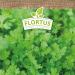 Buy Flortus Bio Koriander Seeds | Organic Herb Seeds for Garden Balcony & Kitchen - Cultivate Fresh Coriander - Buy Online on SooperMarket.com