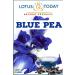 Blue Pea Flower Tea whole Loose flowers 30grams delicate and Colourful Herbal Tea - Buy Online on SooperMarket.com