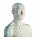 3B Scientific N30 Acupuncture Male Model 31.5-Inchx11.4-Inchx10.2-Inch - Buy Online on SooperMarket.com