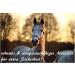 Stylish Blue Lead Rope for Horse Pony Donkey & Goat - Durable Tie Rope in Various Designs | International Shipping Available - Buy Online on SooperMarket.com