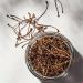 Dried Cherry Stems (Stalks) Loose Tea 100g by Villa Nostrum - Buy Online on SooperMarket.com