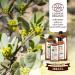 Jojoba Oil Organic 250 ml - 100% Pure Natural & Cold Pressed - Buy Online Internationally - Buy Online on SooperMarket.com