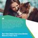 5Strands Pet Food and Environmental Intolerance Test | Home Sensitivity Kit for Dogs & Cats | Hair Sample Collection | 380 Items Tested | Results in 7 Days - Buy Online on SooperMarket.com