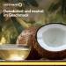 Organic Coconativo Tasteless Coconut Oil 3x1000ml - Cold-Pressed Raw Food Quality for Cooking Baking & Skincare - Buy Online on SooperMarket.com