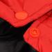 Shop Bagima Ladybug Dog Costume | Warm Hooded Sweater for Small Dogs | Perfect Halloween & Winter Outfit - Buy Online on SooperMarket.com