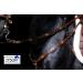 Jose Breastplate Show - Premium Portuguese & Spanish Black Brown for WB VB XF XXF Calfblood - International Shipping Available - Buy Online on SooperMarket.com