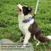 Tag Trag Dog Leash - 20m Light Blue Waterproof Training Line with Handle & D-Ring for Small & Medium Dogs - Buy Online on SooperMarket.com