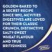 McVitie's Original Digestive Biscuit Twin Pack (2 x 360g) - Buy Online on SooperMarket.com