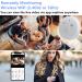 TANGMI Hidden Camera Smoke Detector Wireless WiFi Camera with Video 1080P HD Small Camera with Night Vision and Motion Detection Indoor Camera for Home Security - Buy Online on SooperMarket.com