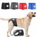 Financial trousers for bitches 2.0 - dog diapers made of high -quality perforated neoprene for an optimal air exchange - dog diapers for male without the annoying threading of the rod (L -L blue) blue L -L